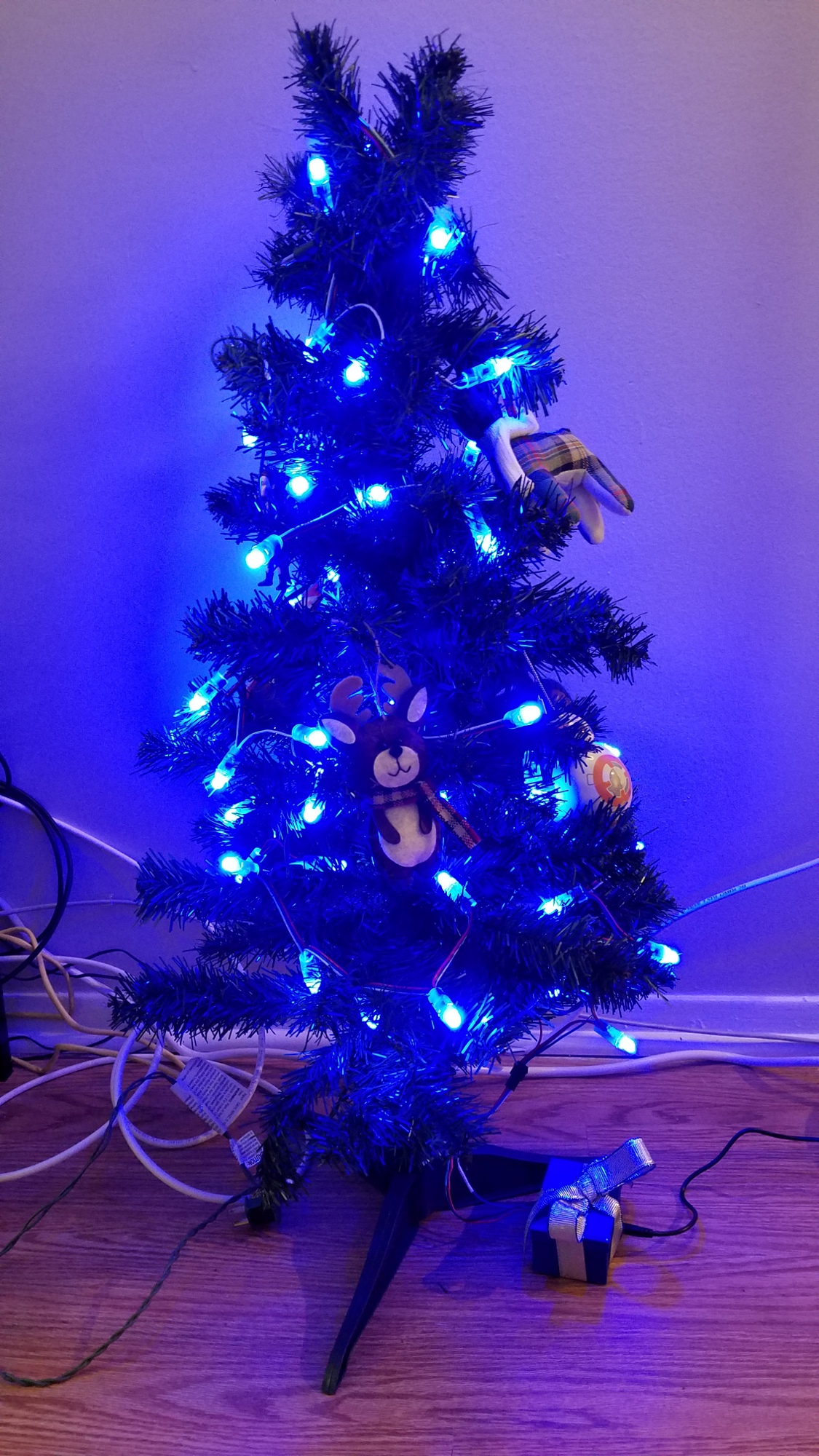 blue tree.jpg