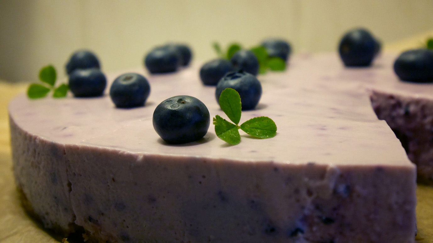 blueberry cake - final 1.jpg