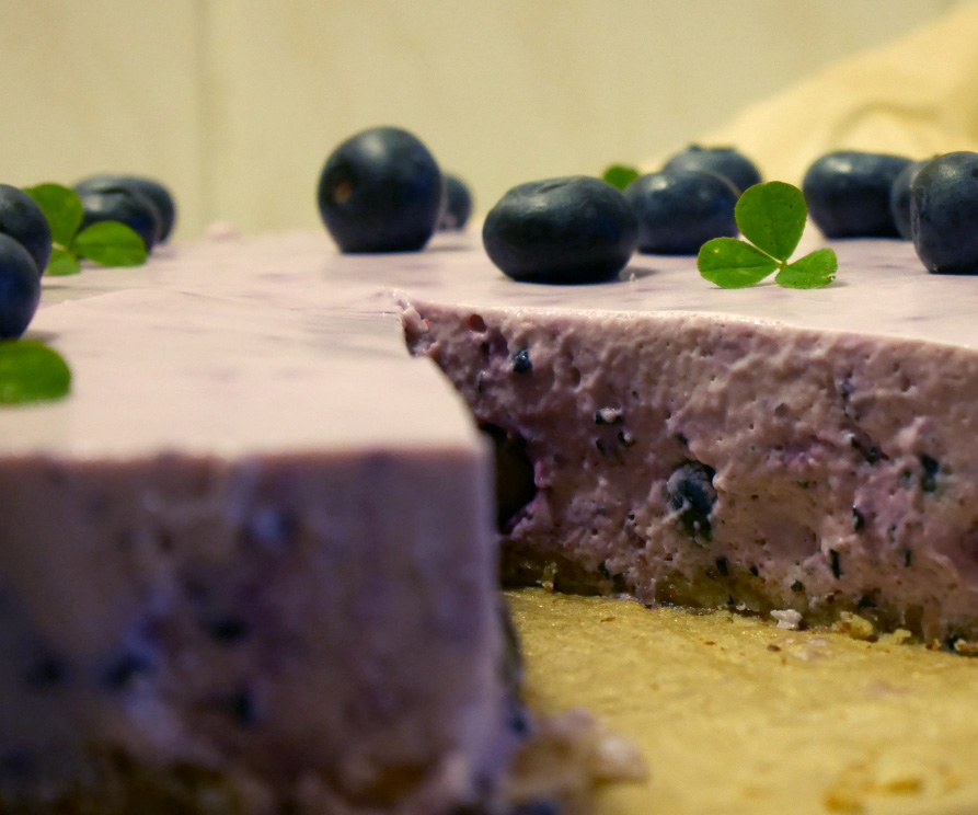 blueberry cake - final 5.jpg