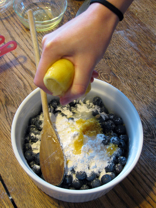 blueberry_filling2.jpg