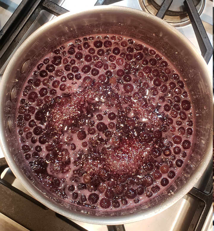 boiling the berries.png