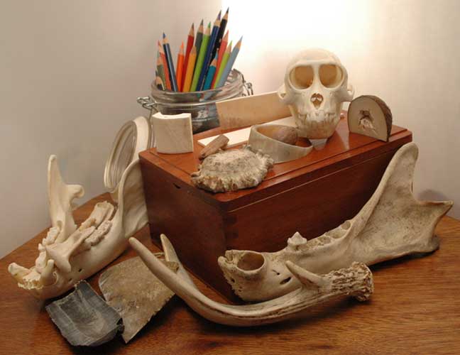 bone-carving-studio-supplies.jpg