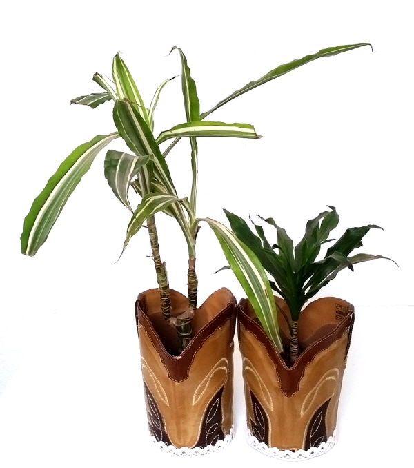 boot top planters 2.jpg