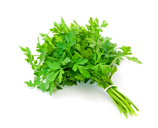 bouquet-of-parsley-new.jpg