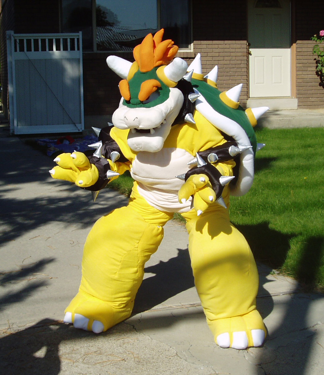 bowser and stuff 020.JPG