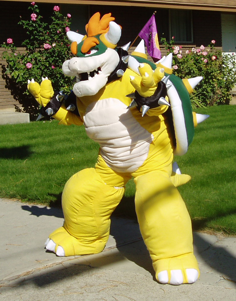 bowser and stuff 030.JPG