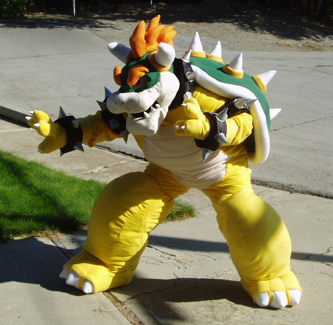 bowser and stuff 032.JPG