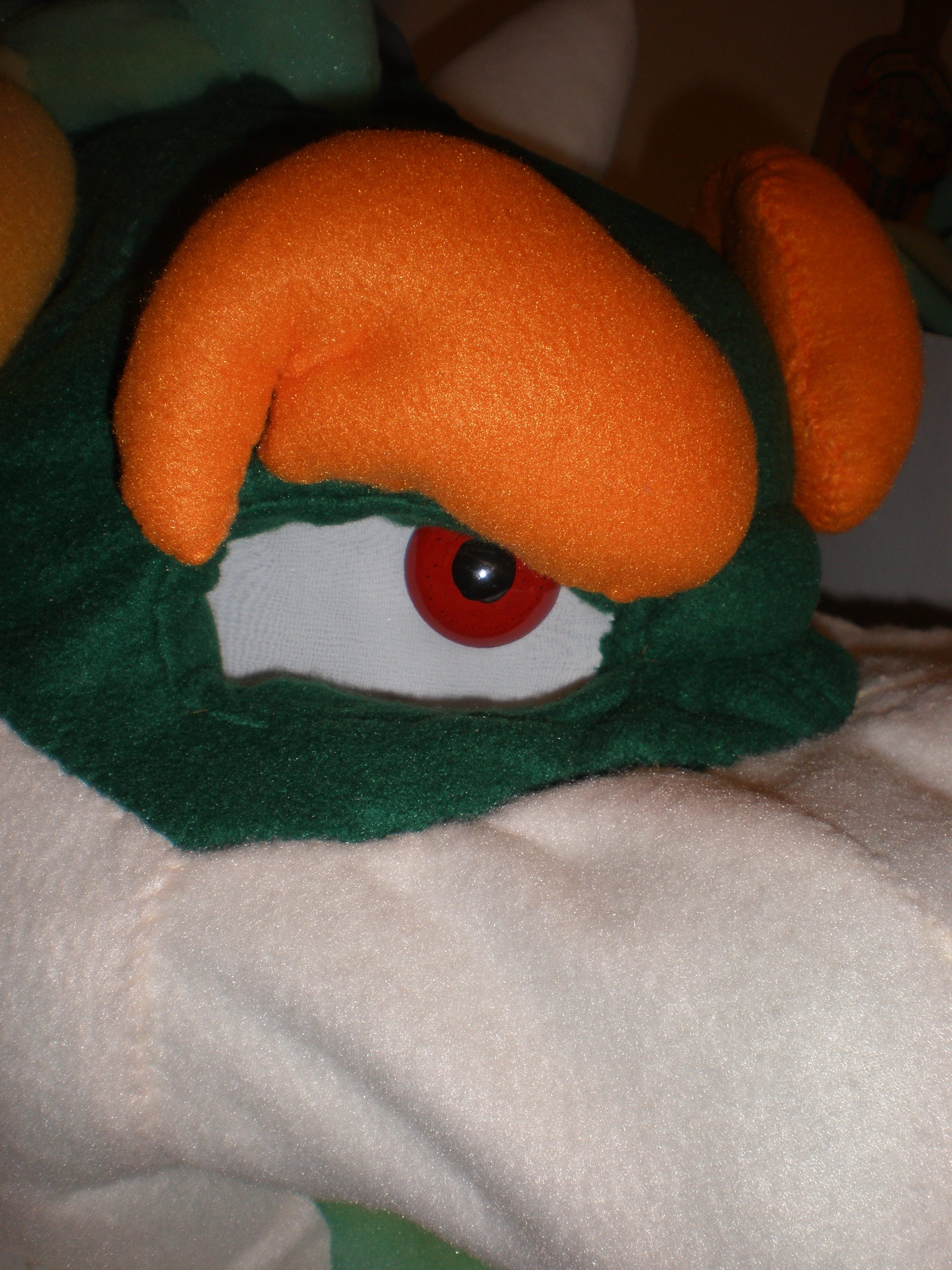 bowser eye 001.JPG