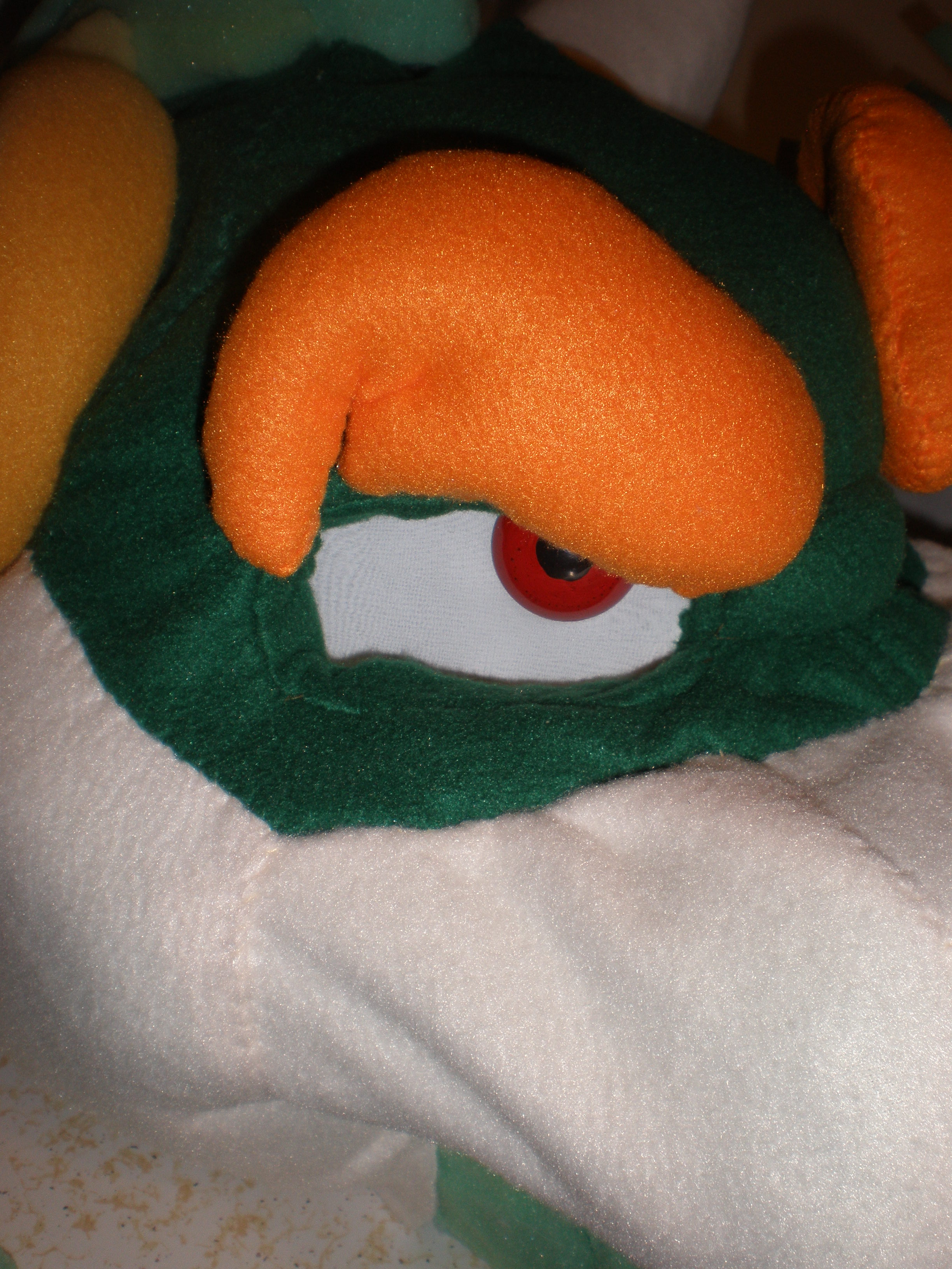 bowser eye 002.JPG