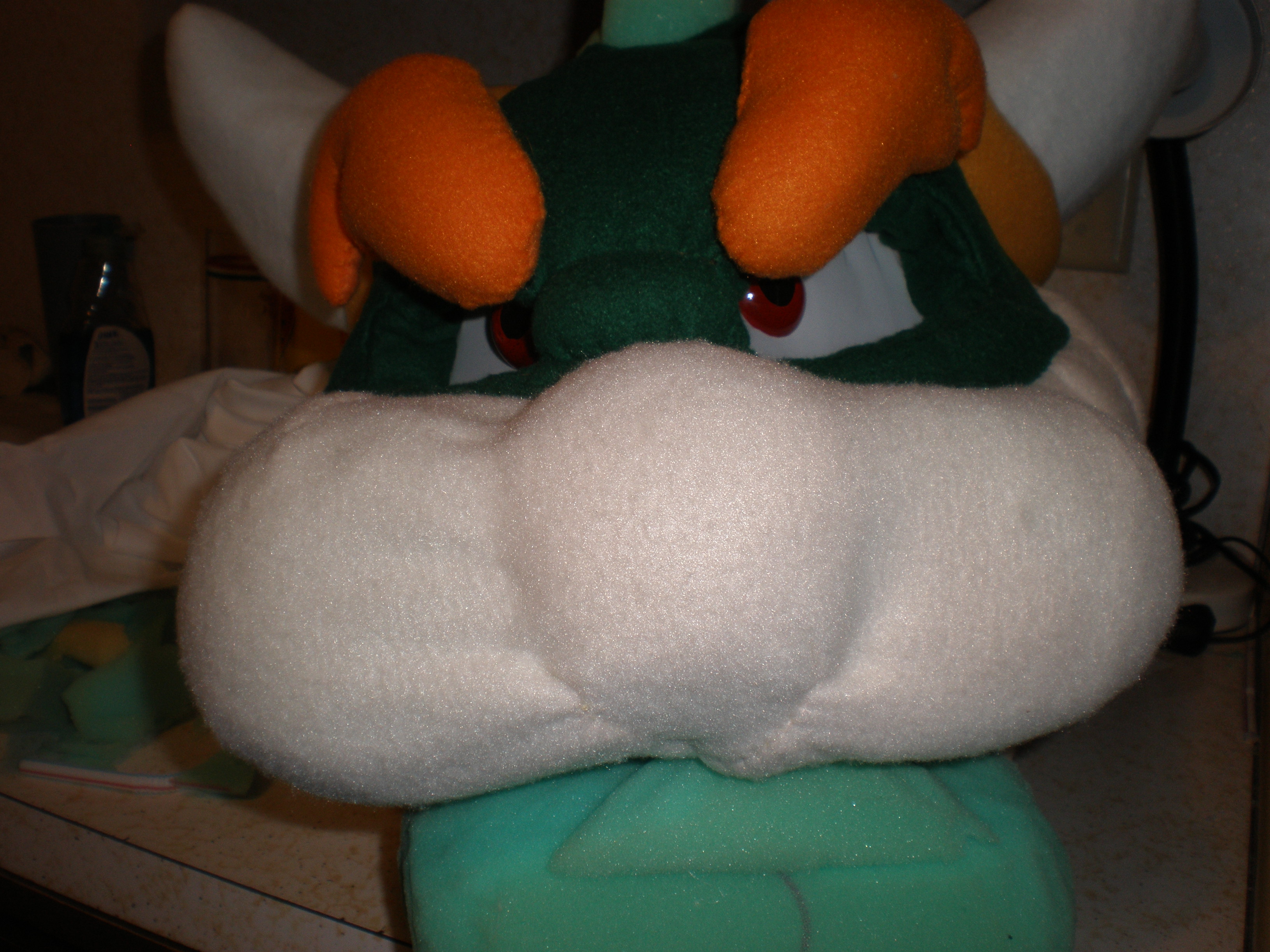 bowser eye 006.JPG