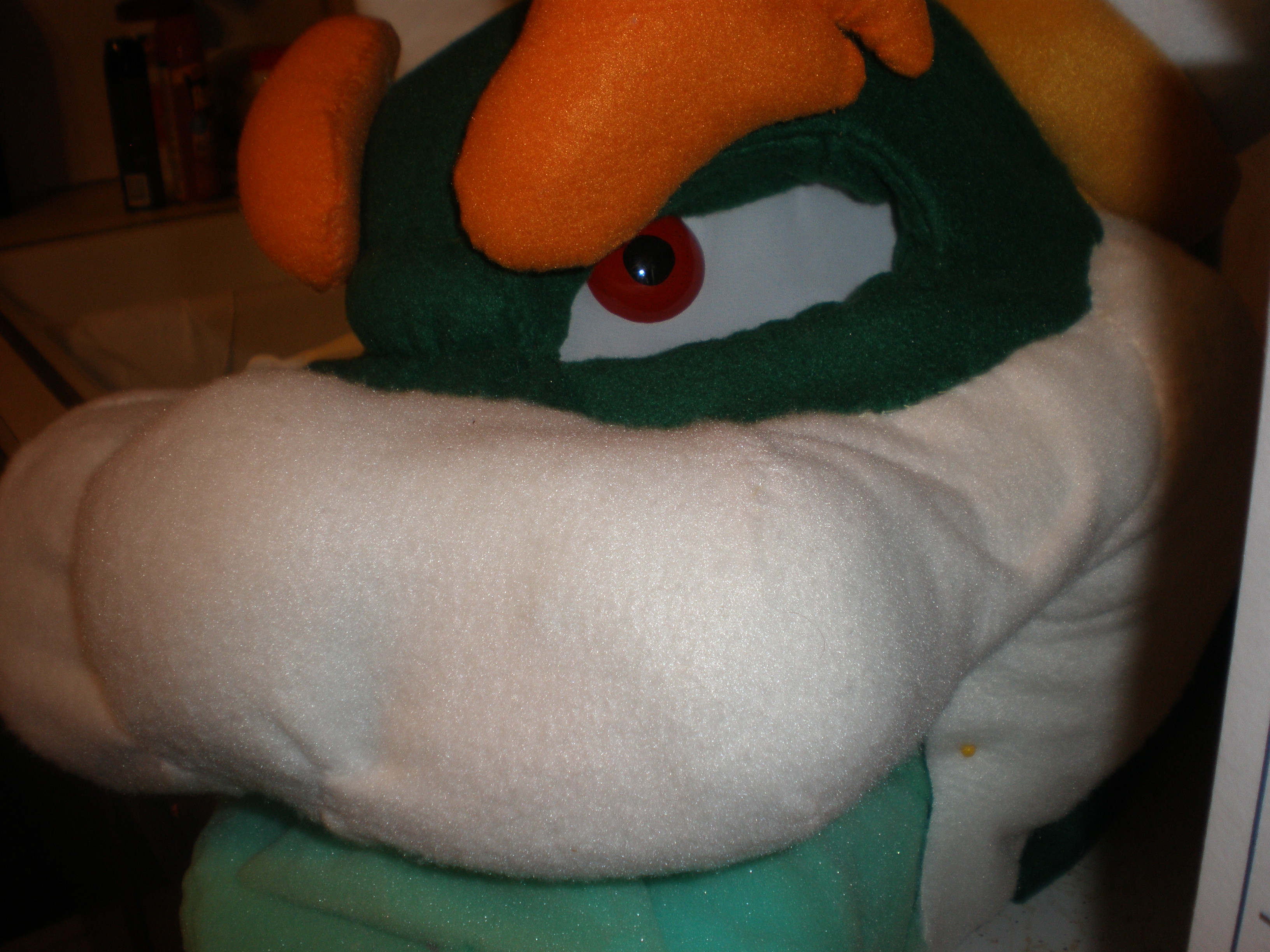 bowser eye 007.JPG