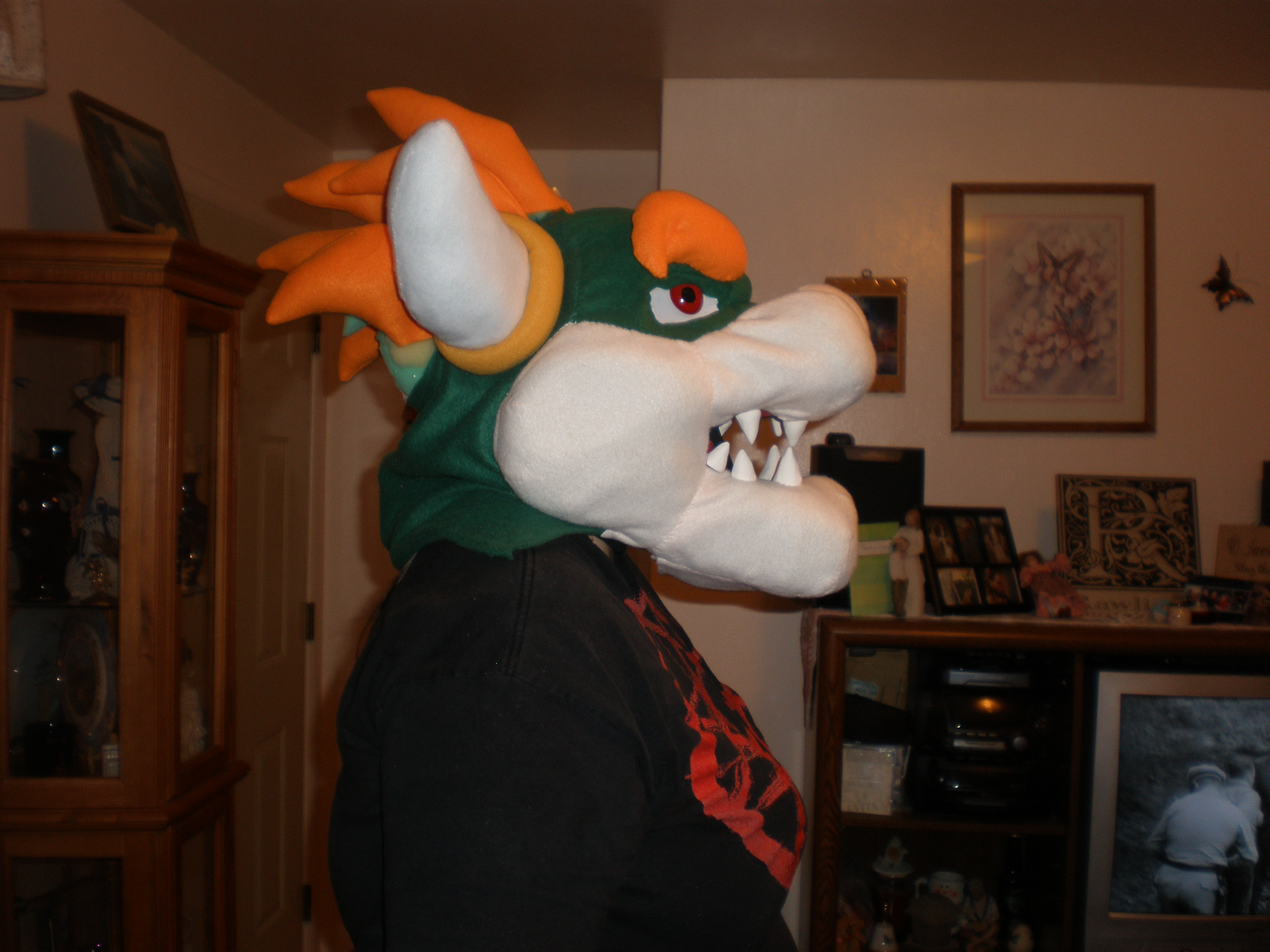 bowser pictures 013.JPG