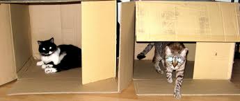 box.jpg