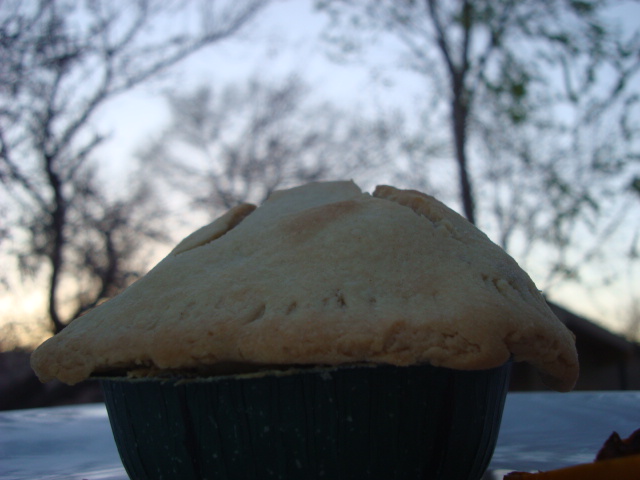 breakfast pie 049.JPG