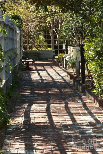 brick walk shadows.JPG