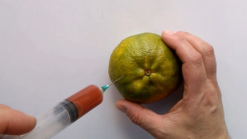 bromas-broma-pranks-prank-top-10-tvoaqui-mandarina-naranja-picante-orange-tangerine-hot-sauce-1.jpg