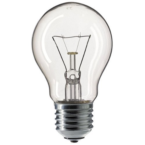 bulb.jpg