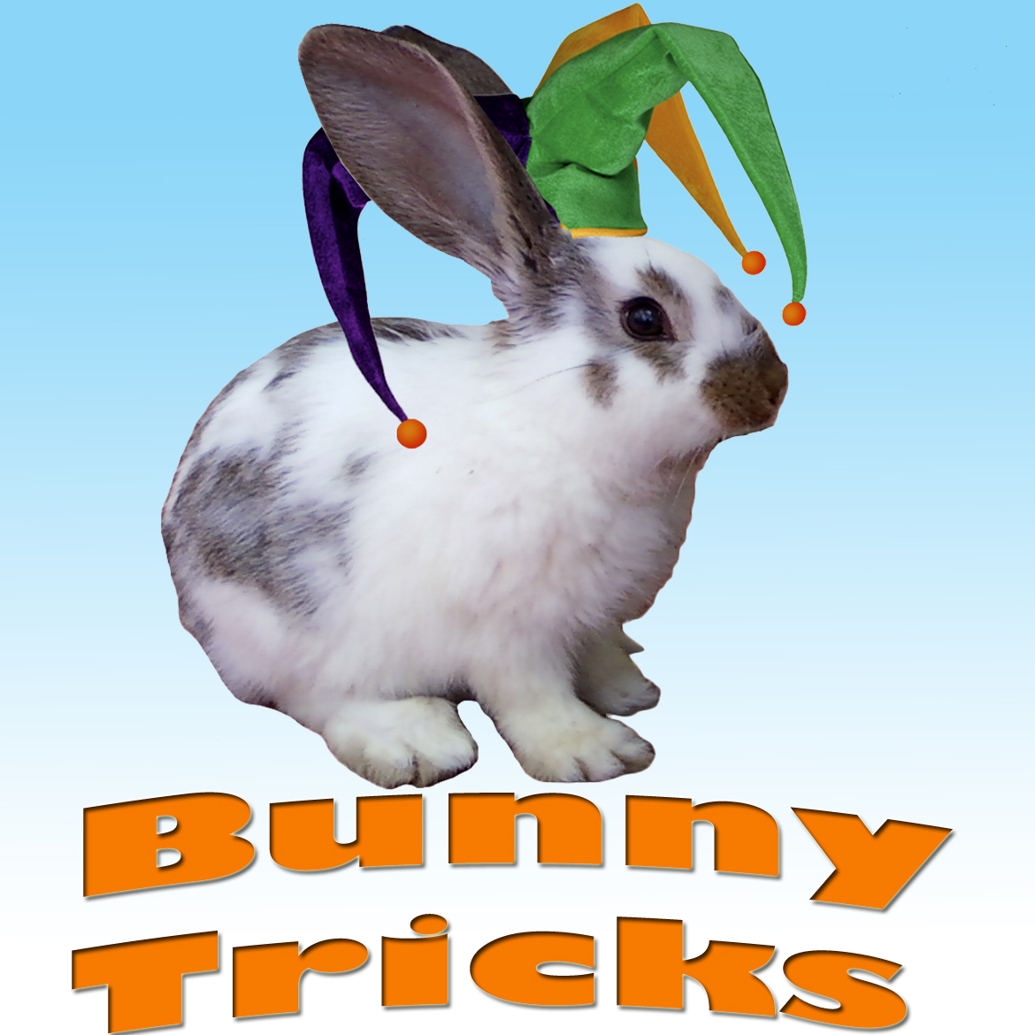 bunnytricks.jpg