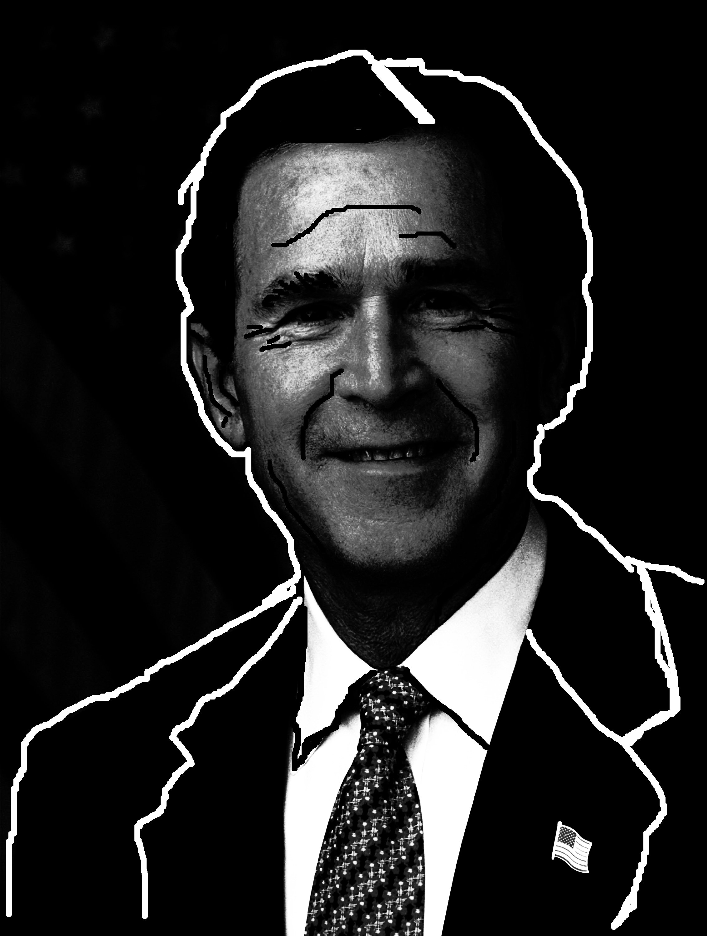 bush structable3.jpg