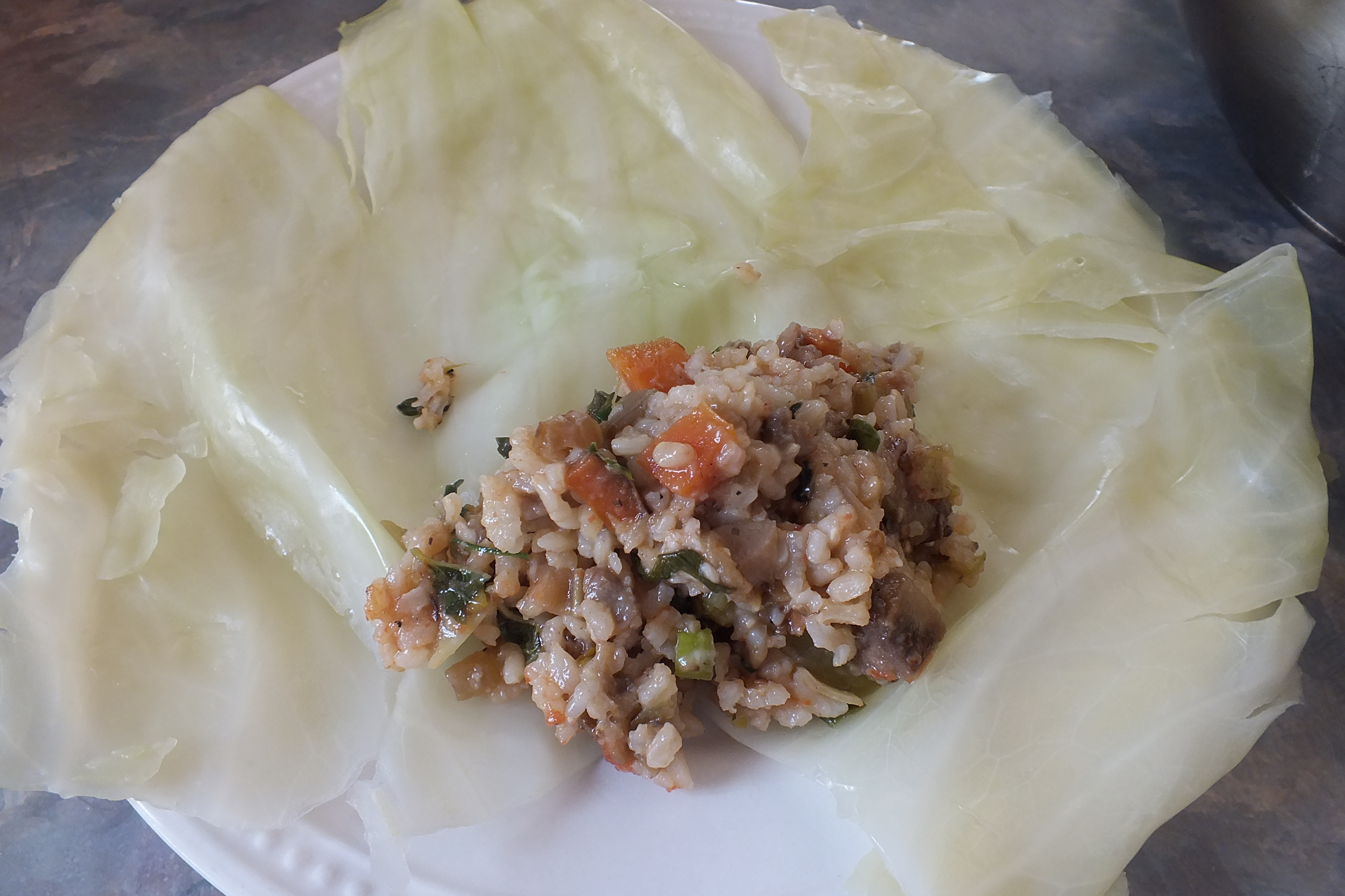 cabbage rolls 2.JPG