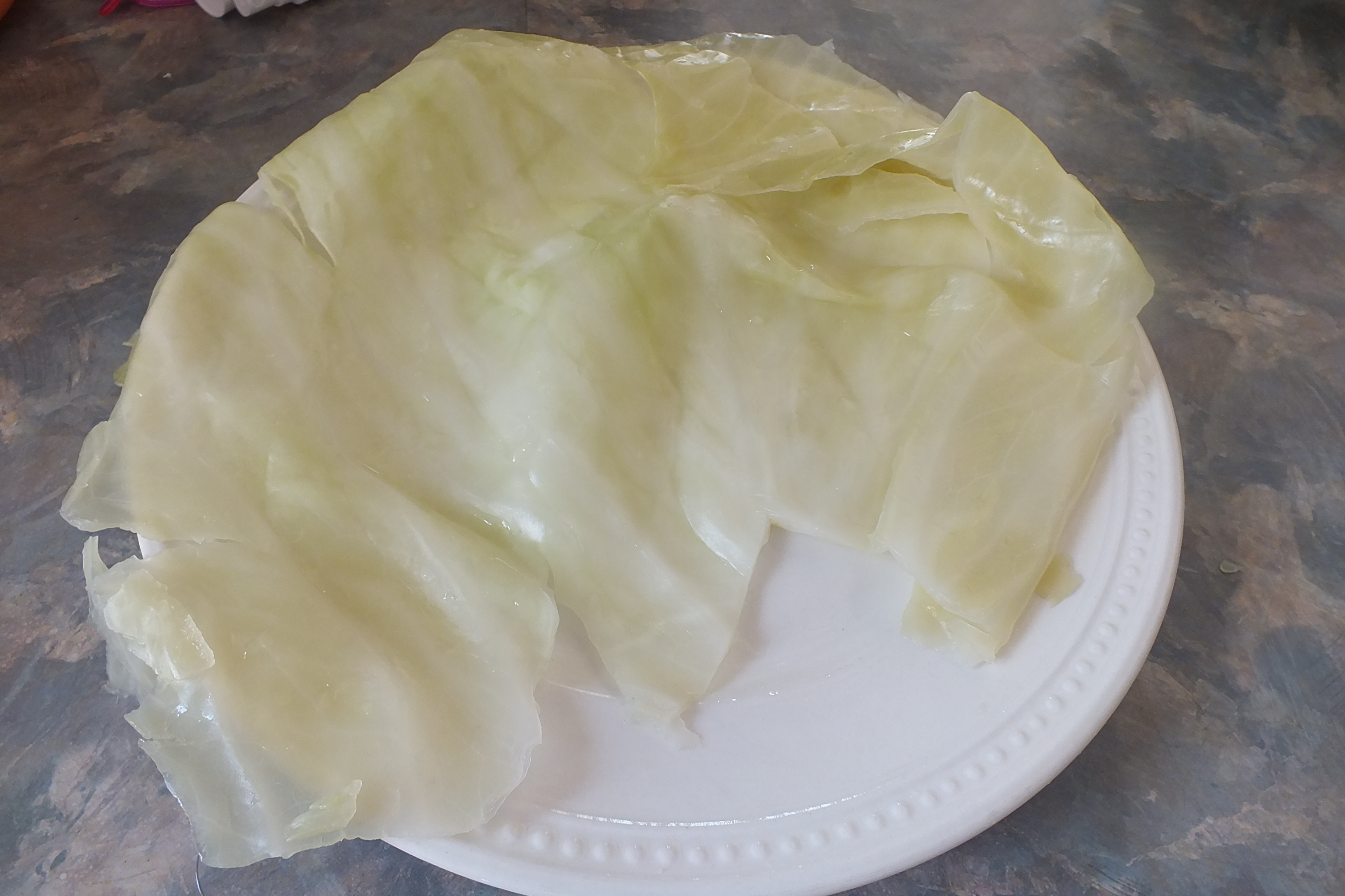 cabbage rolls.JPG