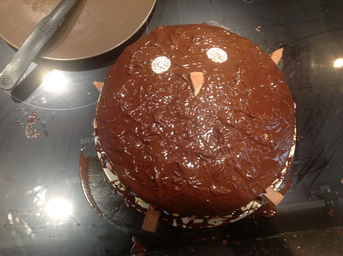 cake with only eyes and nose.jpg