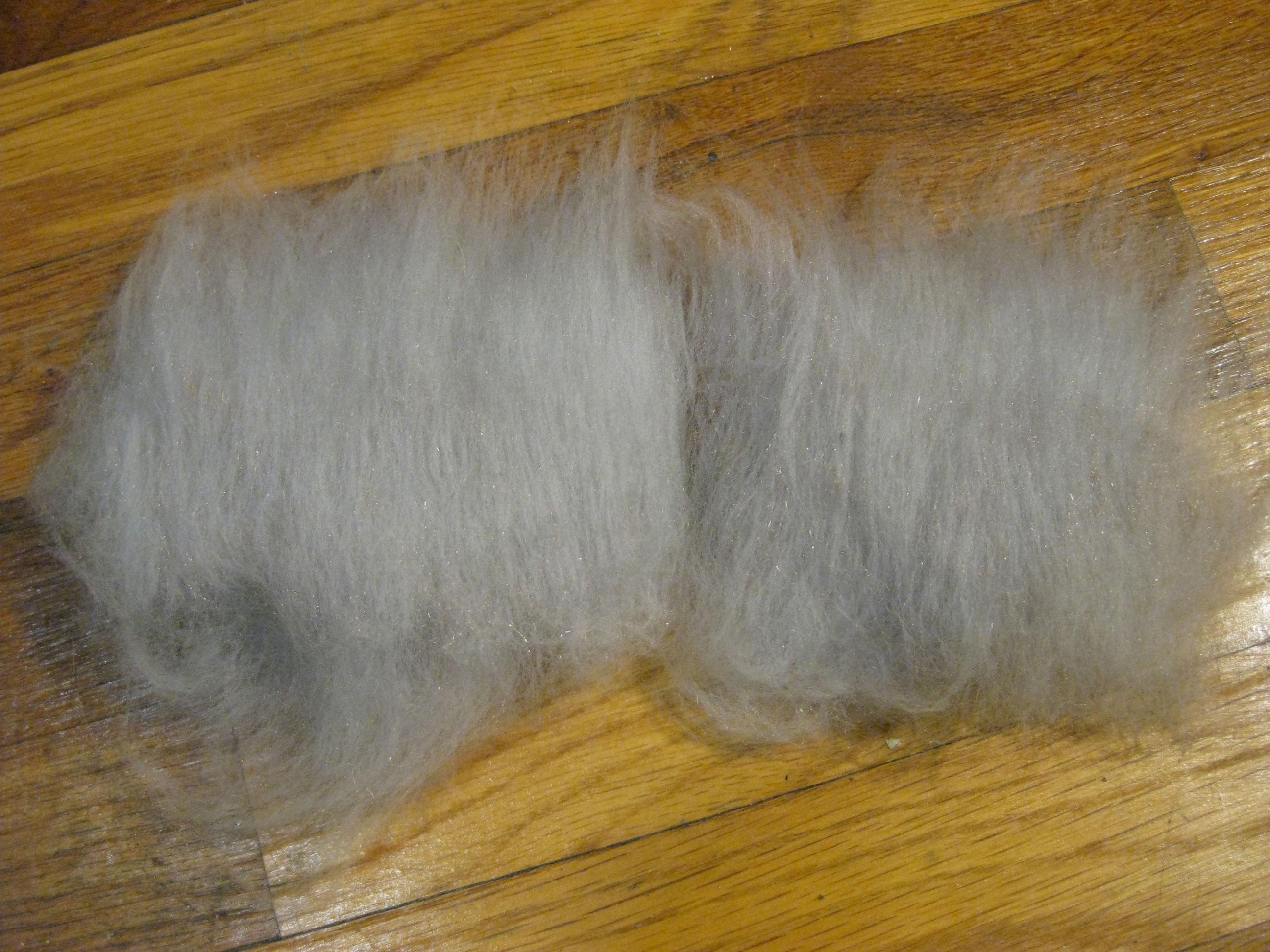 carder_wool.jpg