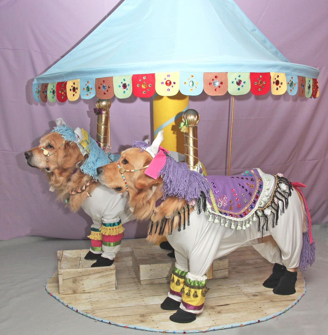 carousel8inches.jpg