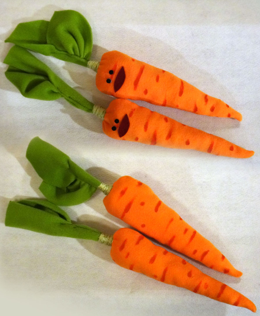 carrot-fin.jpg