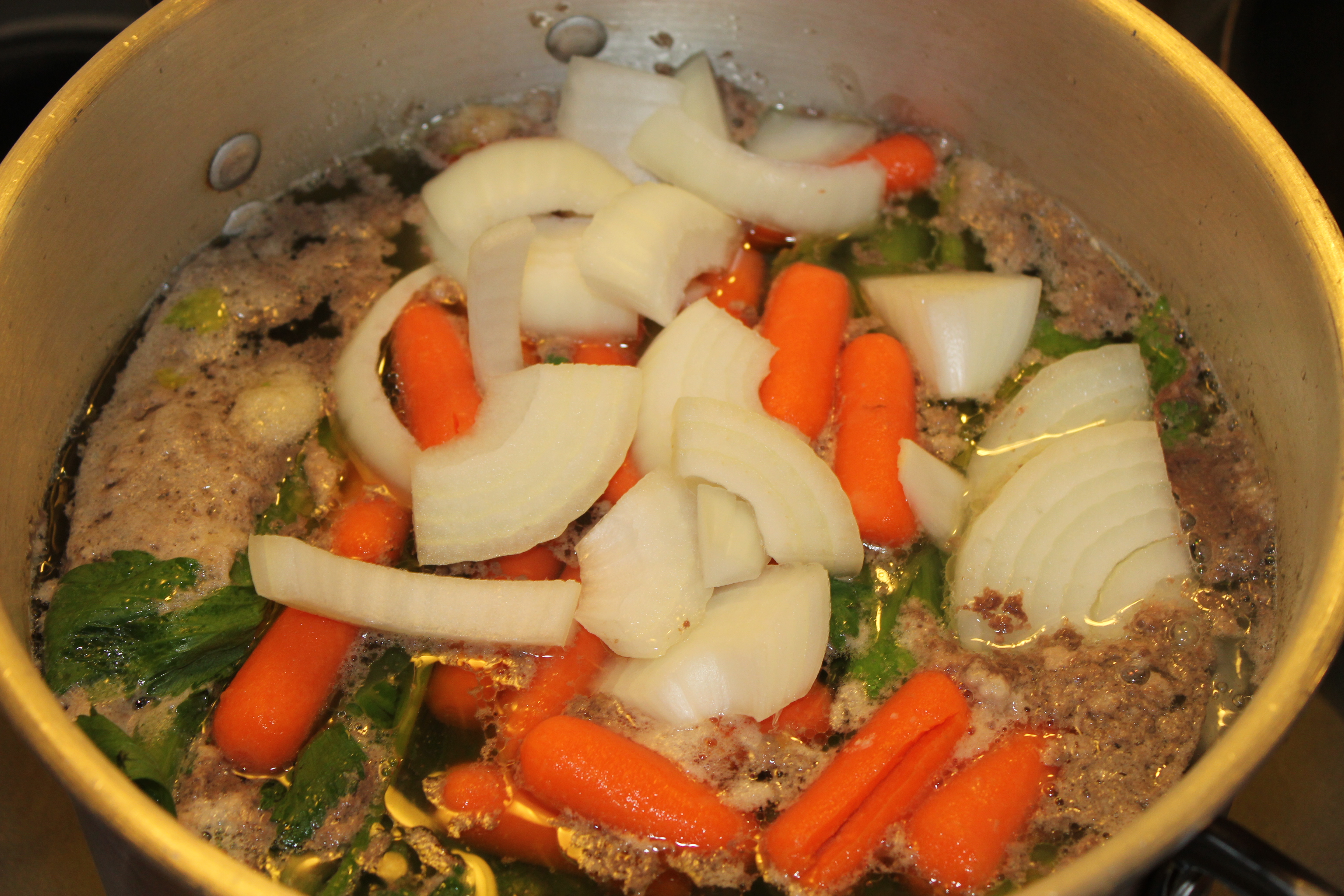 carrots and onions in the broth.JPG