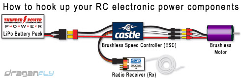 castle-creations-connection-to-lipo-rx-motor-esc.jpg