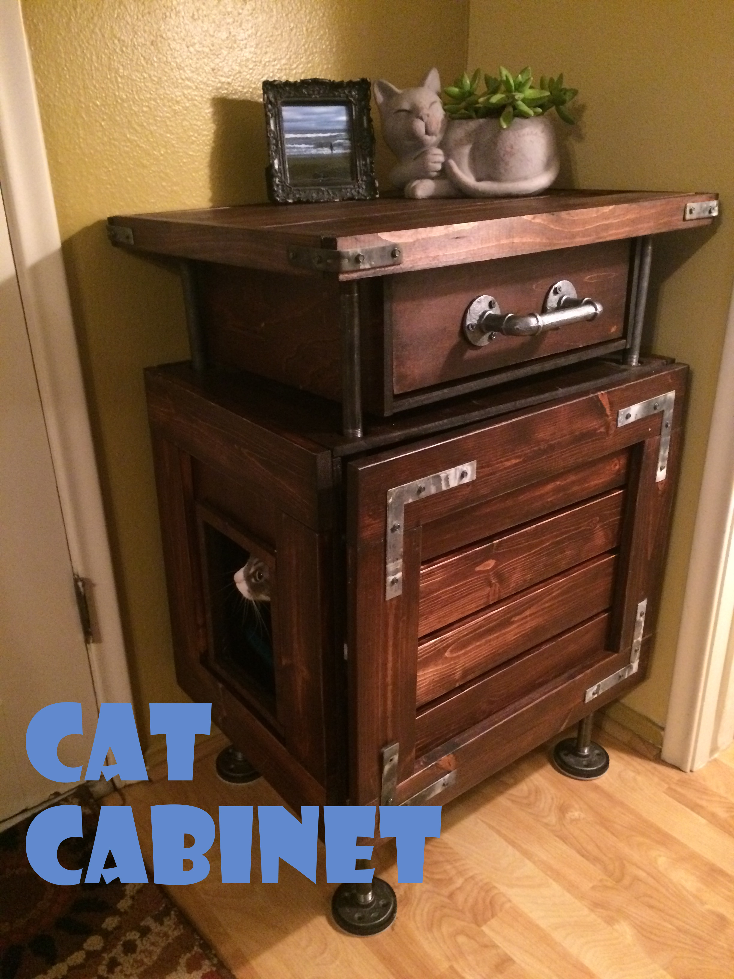 cat cabinet.JPG