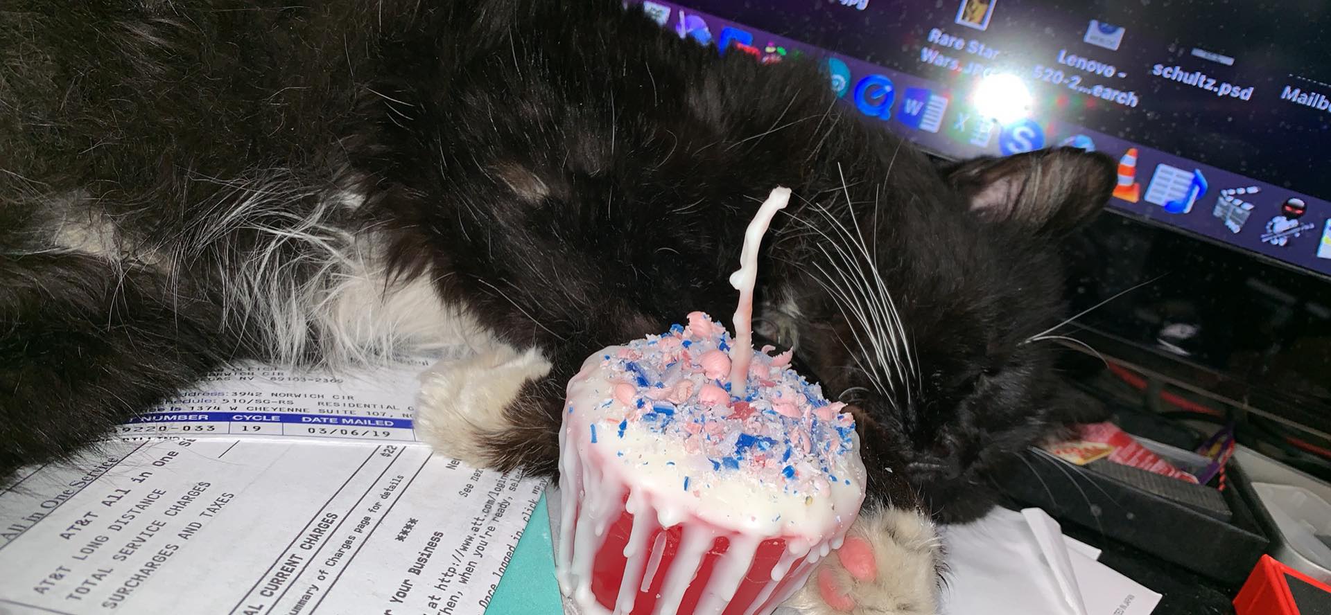 cat cup cake.jpg