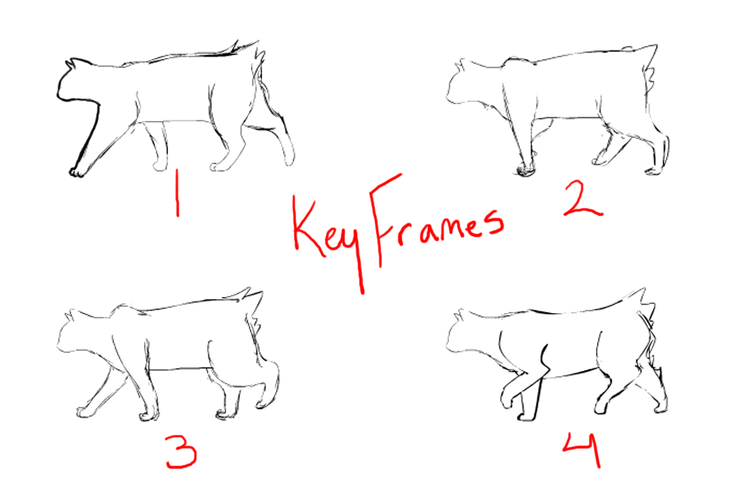 cat keys.jpg