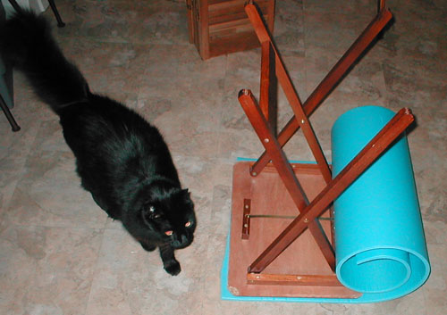 cat table 4.jpg