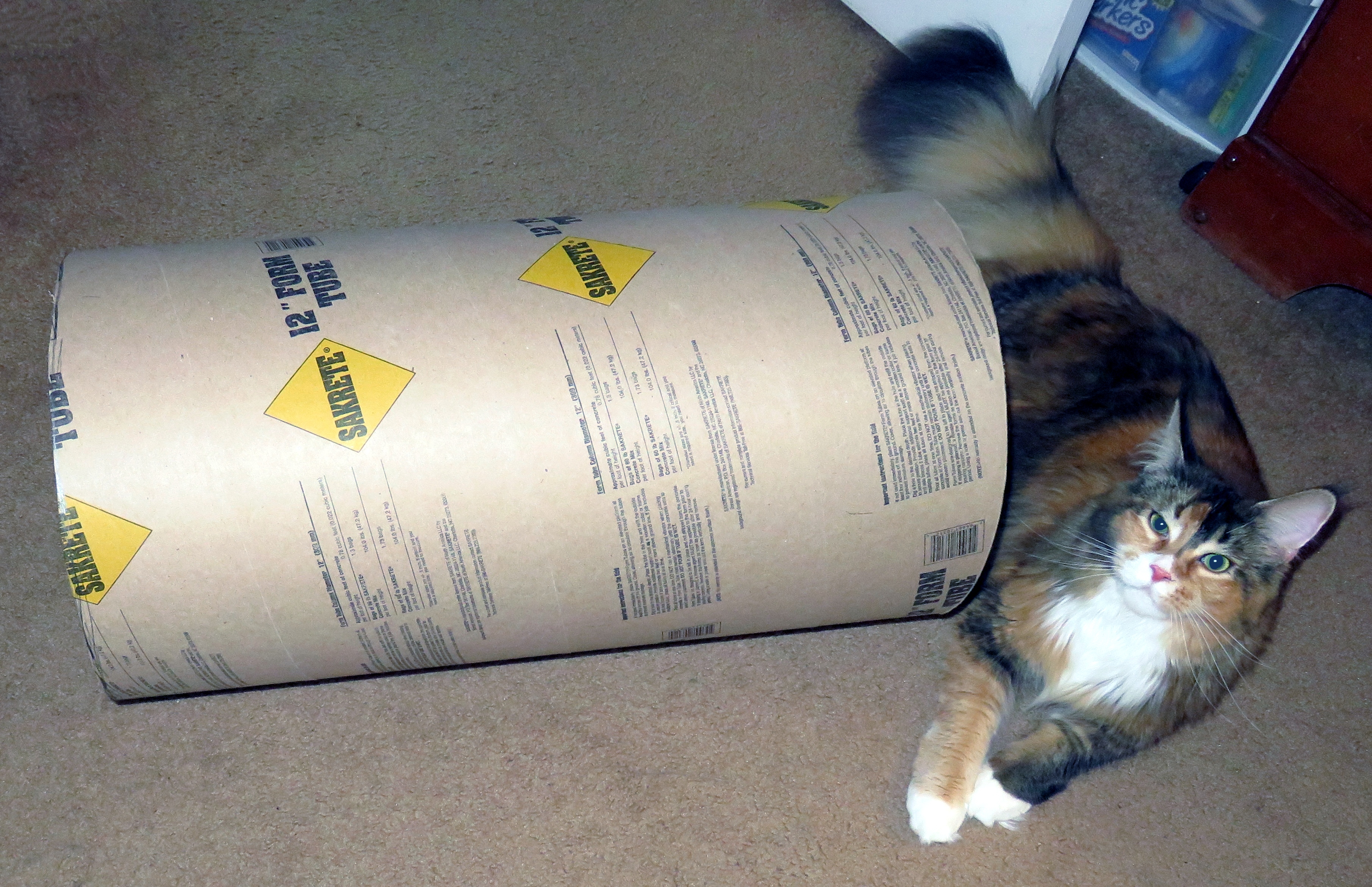 cat tunnel instruct (1).JPG