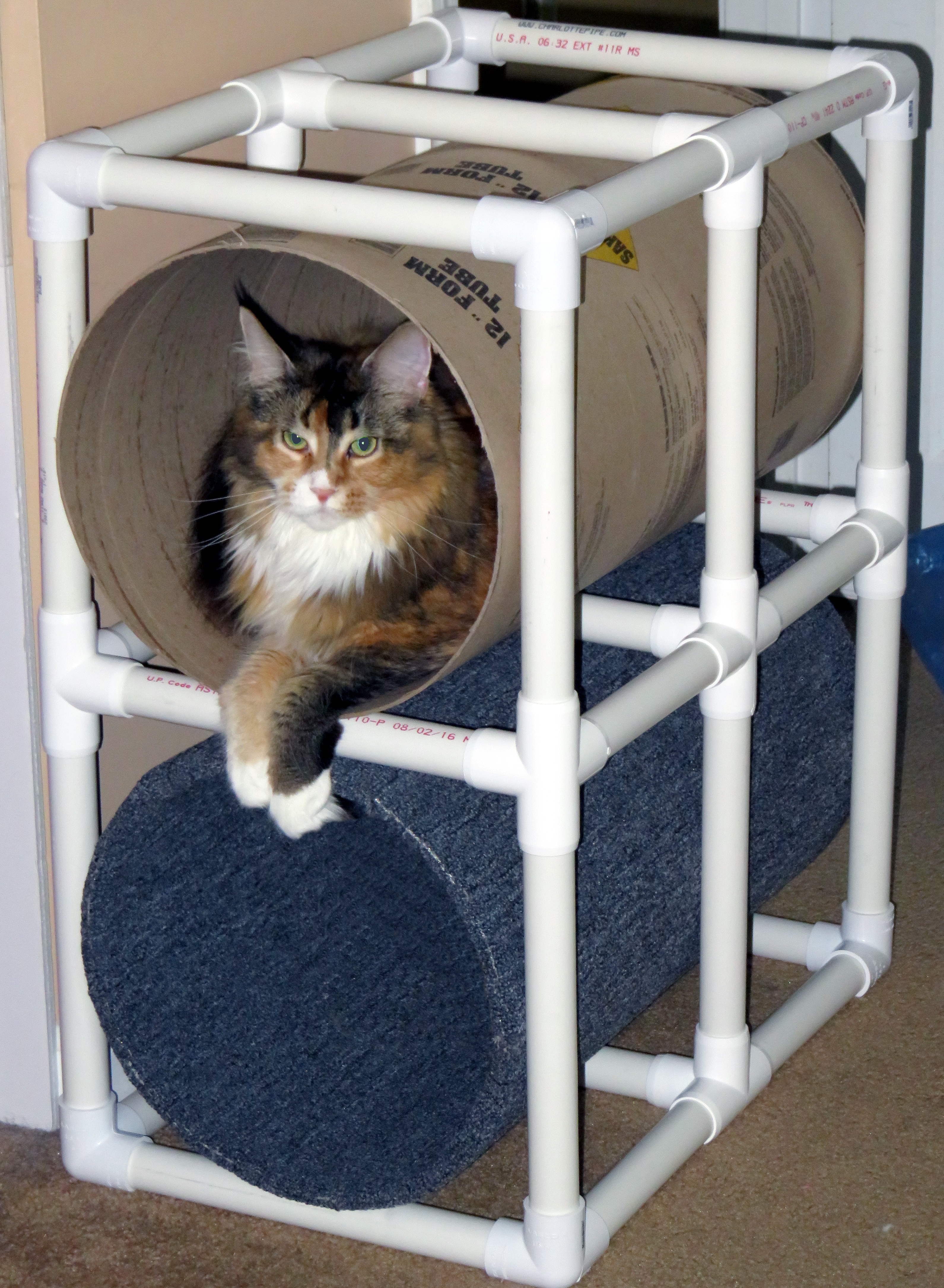 cat tunnel instruct (7).JPG