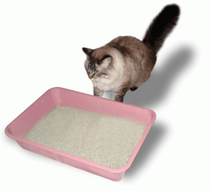 cat_litter-300x272.gif