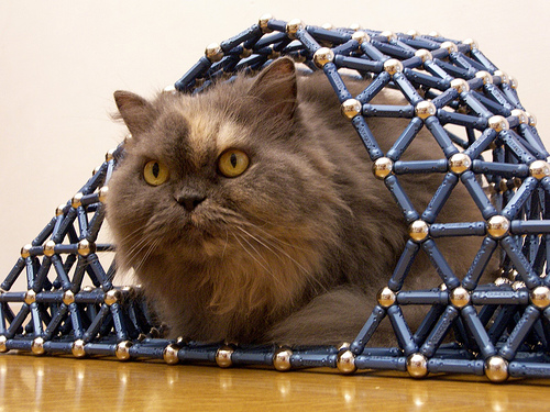 cat_spaceframe_aldoaldoz.jpg