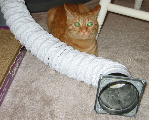 catfan-tube.jpg