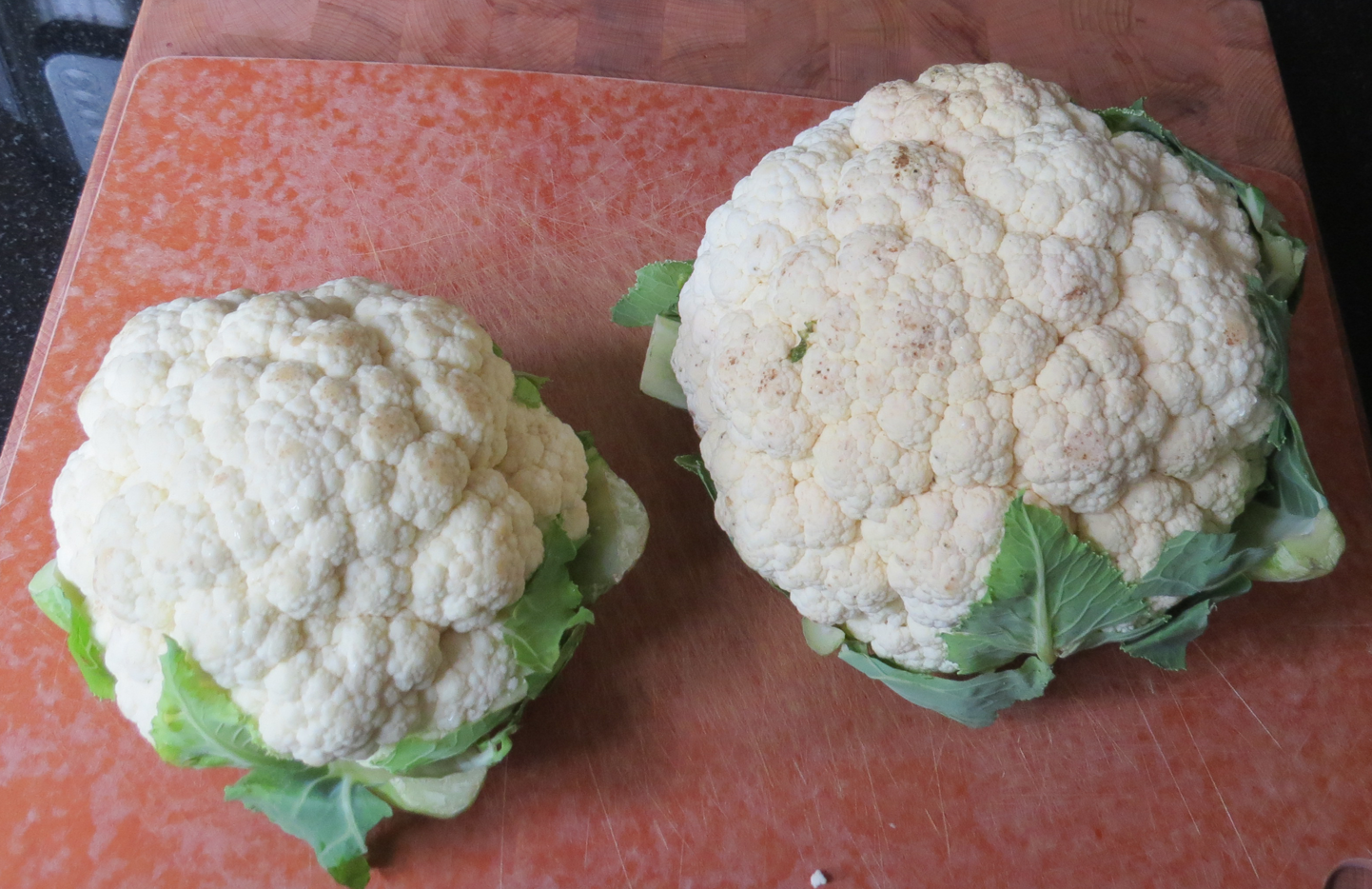 cauliflower mashed 001.png