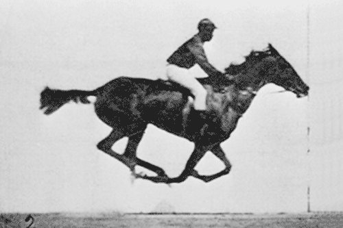 cavalo-classica.gif