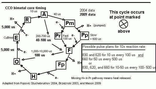 cco_cycle4.gif