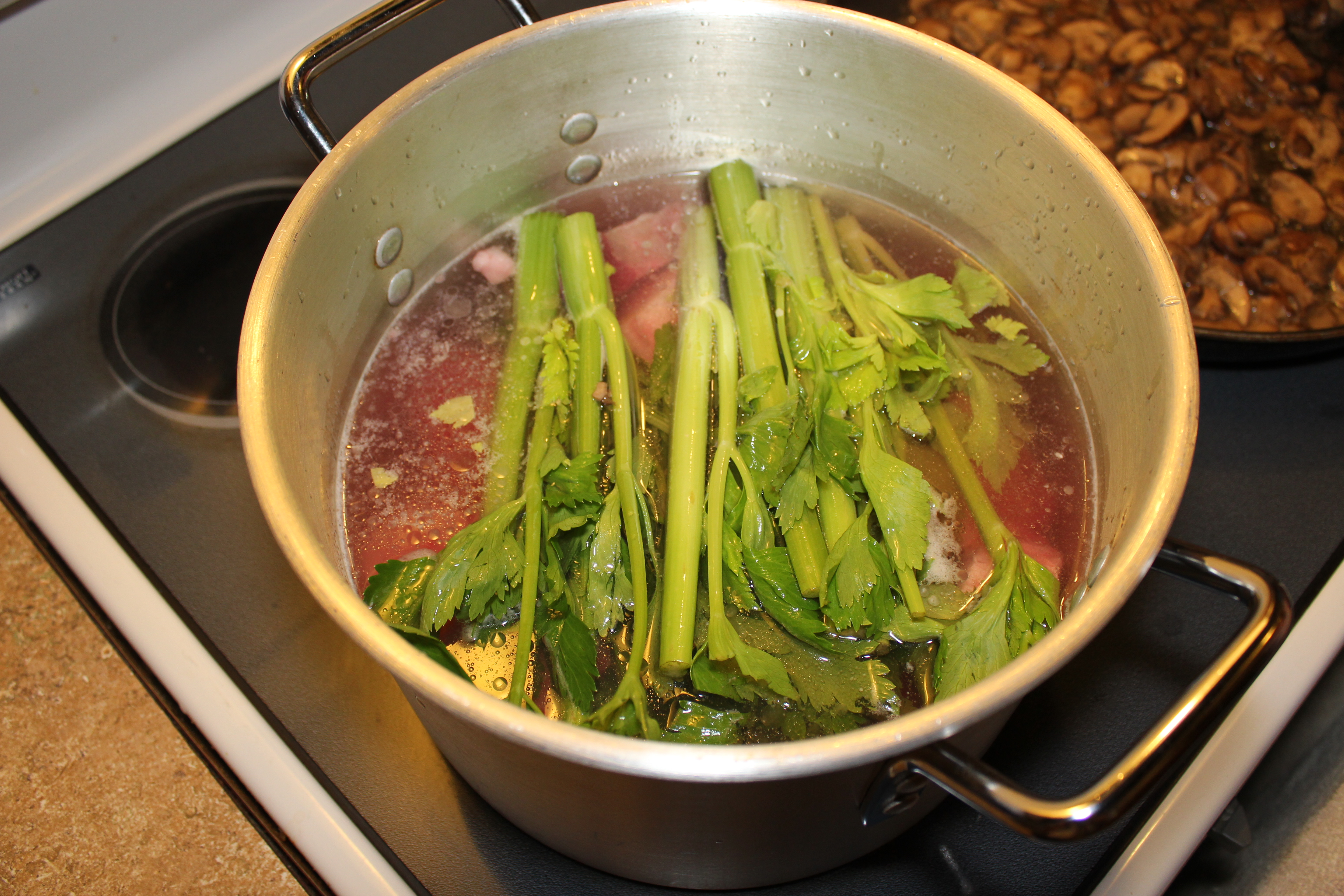 celery in the broth.JPG