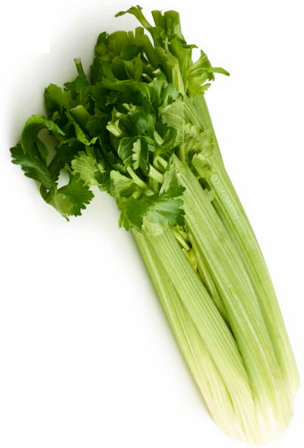 celery.png