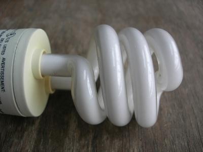 cfl_bulb_large.jpg