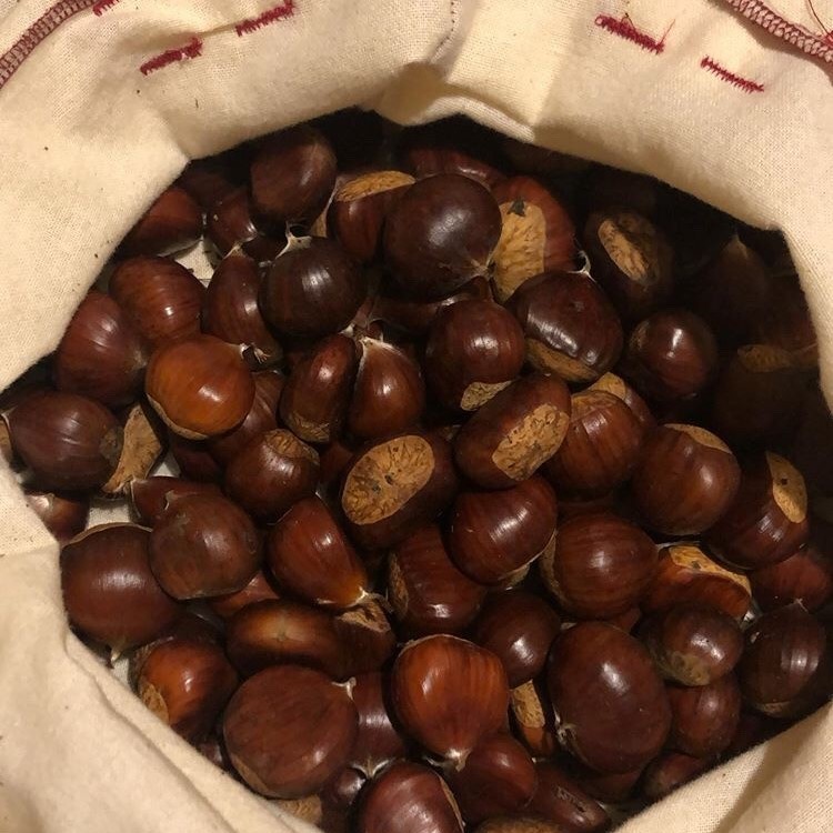 chestnuts2.jpg
