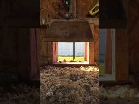 chicken door