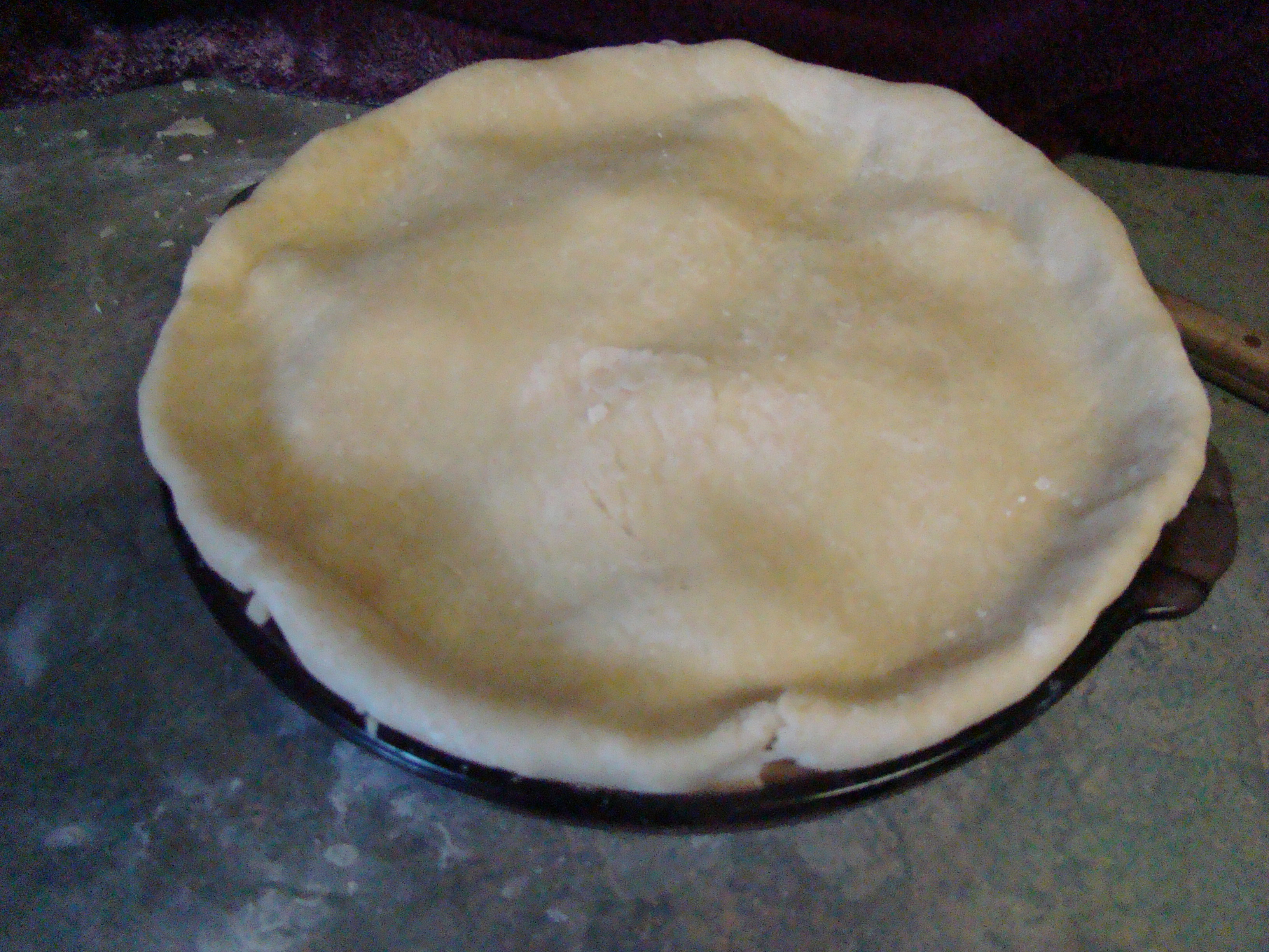 chicken pie fold under.JPG