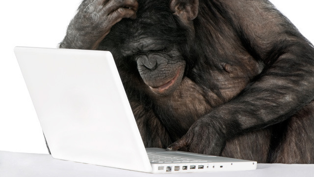 chimp-laptop-4f50f9b-intro.jpg